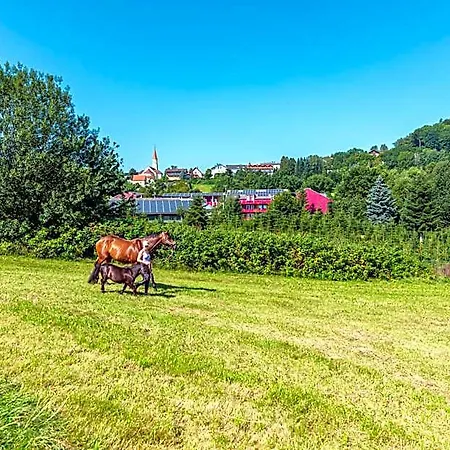 Hotel Reiterhof 3*