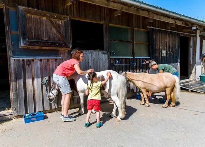 Reiterhof Hotel Runding